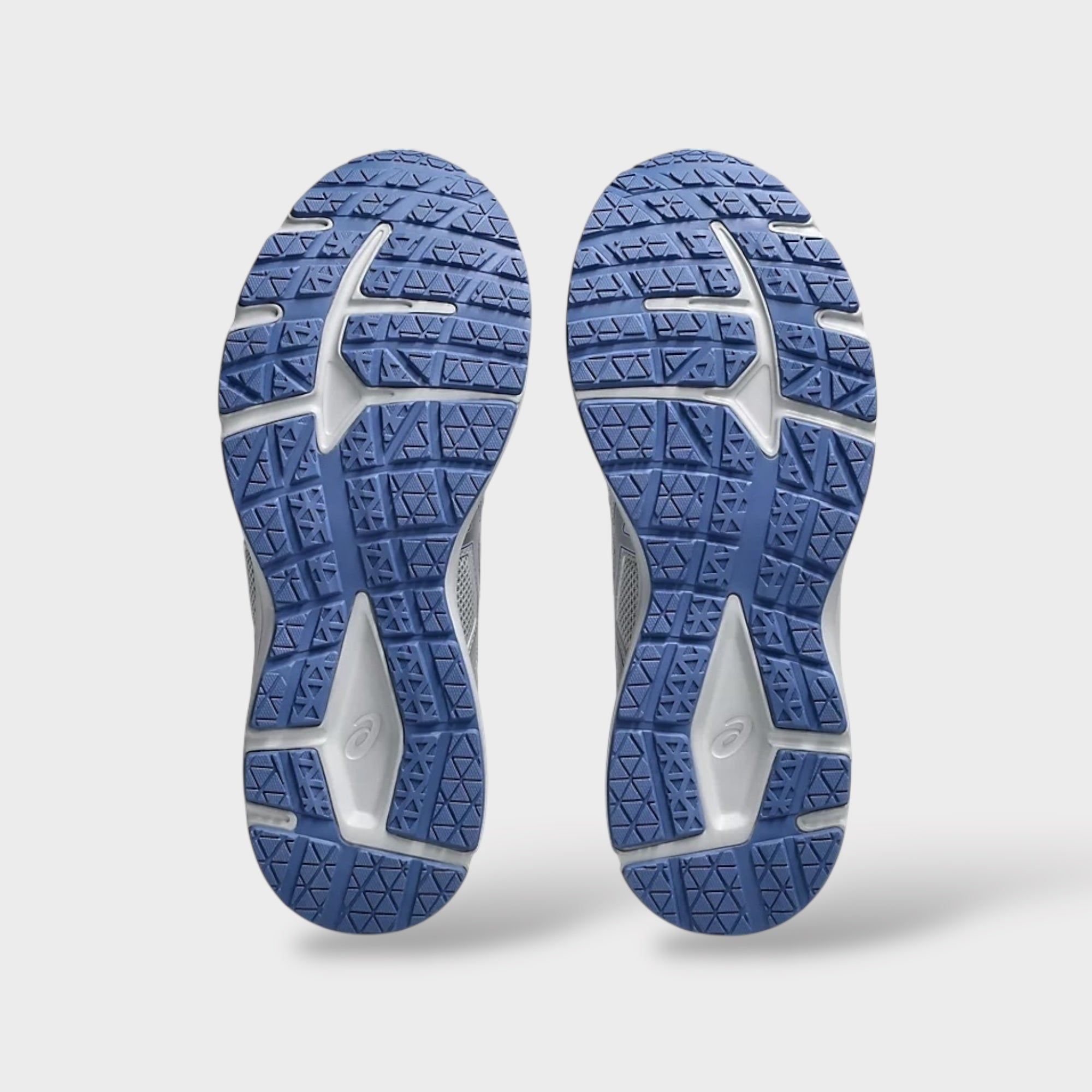 Asics Jog 100S I Piedmont Grey/Pure Silver