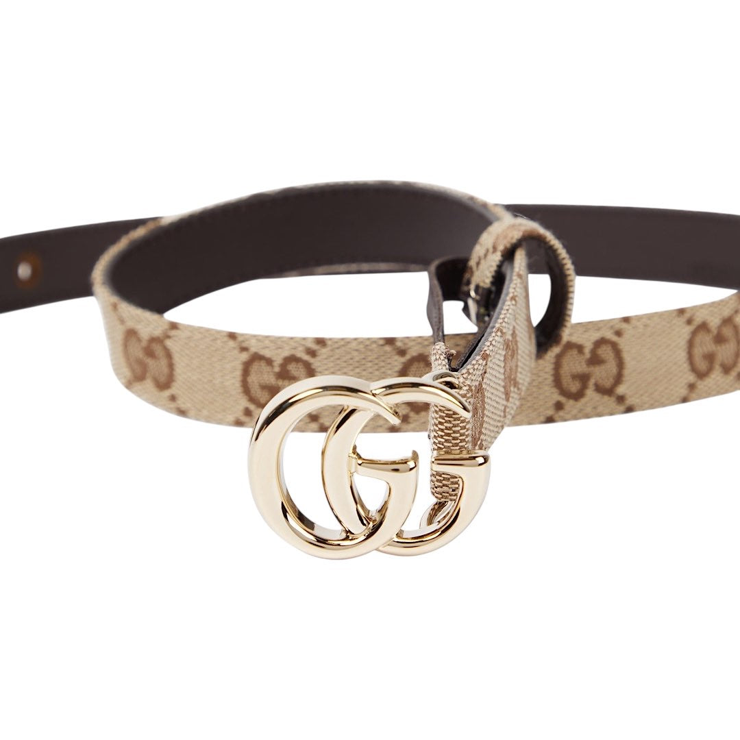 Cintura Gucci