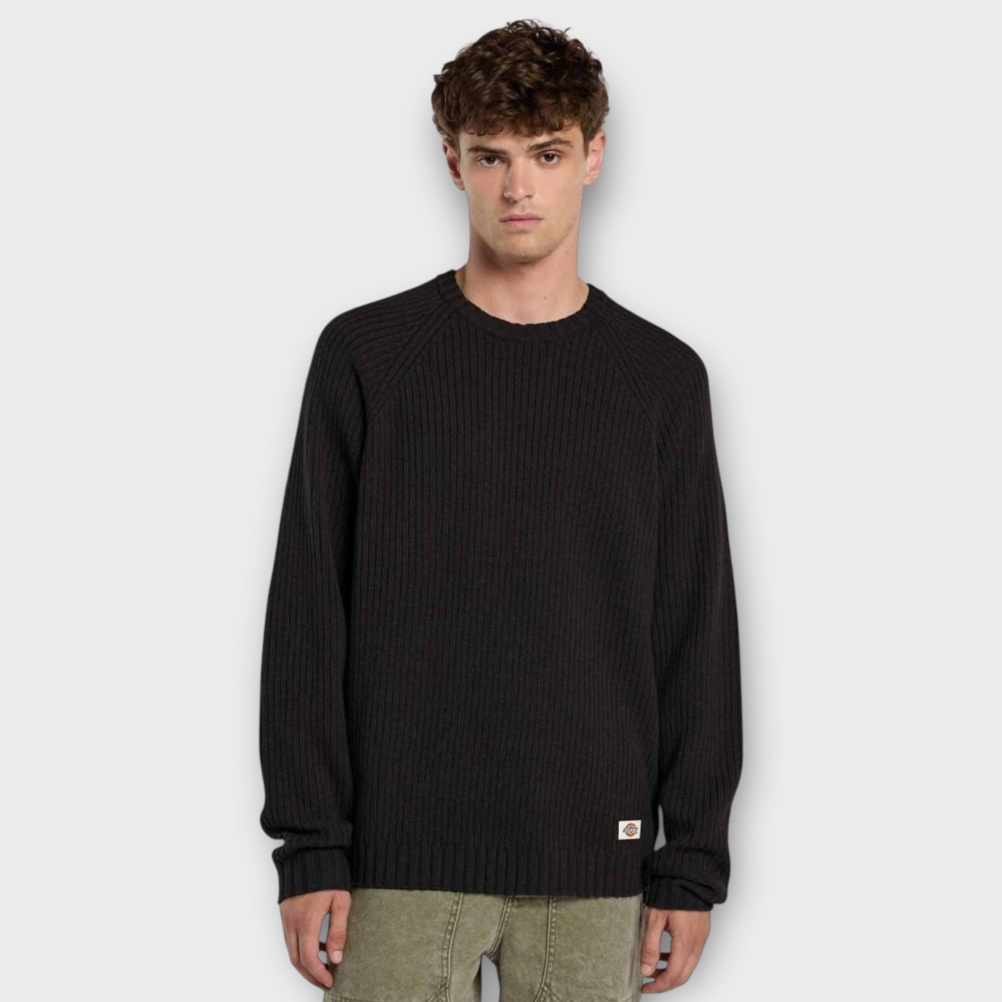 Dickies Blountville Sweater I Sort