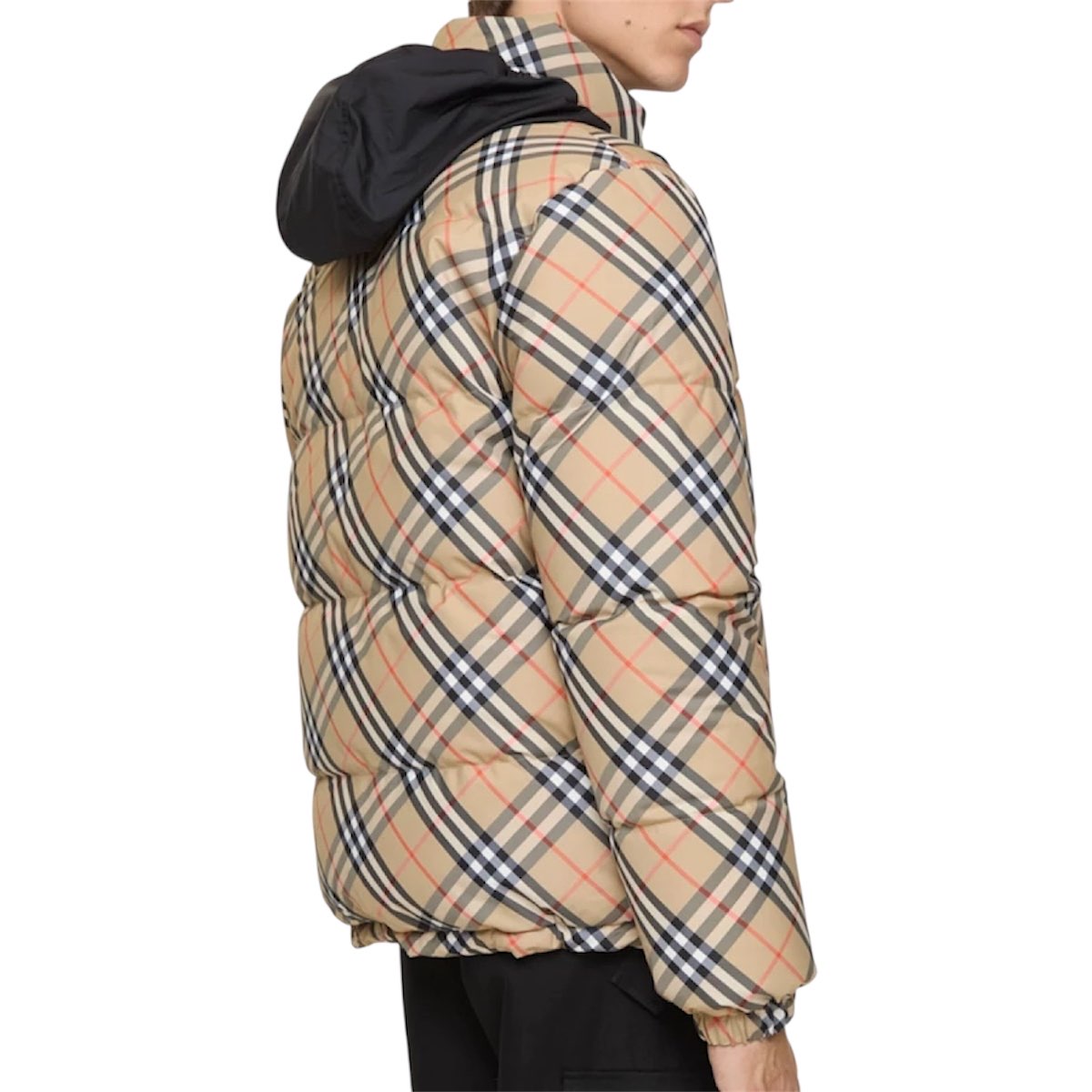 Giubbino Burberry